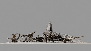 Dead Tree 004