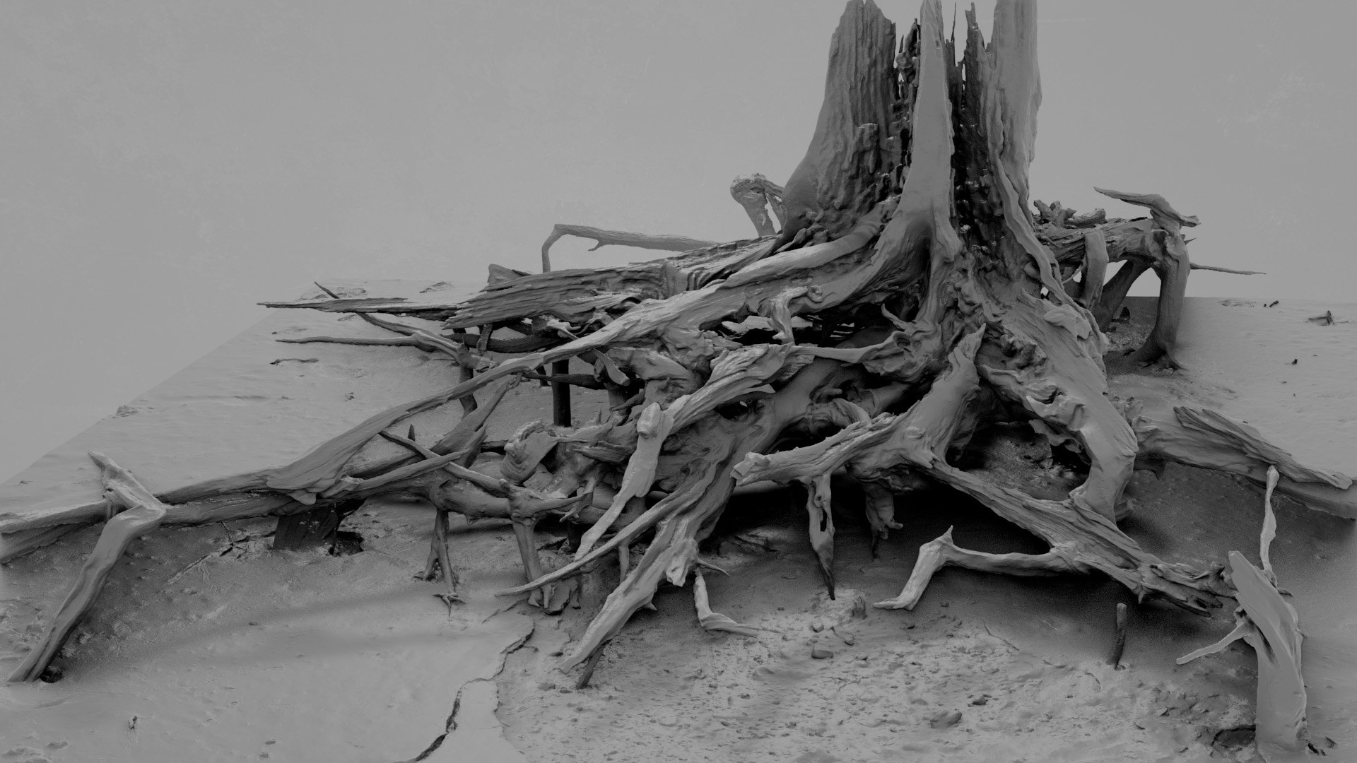 Dead Tree 004 3D - TurboSquid 2324903