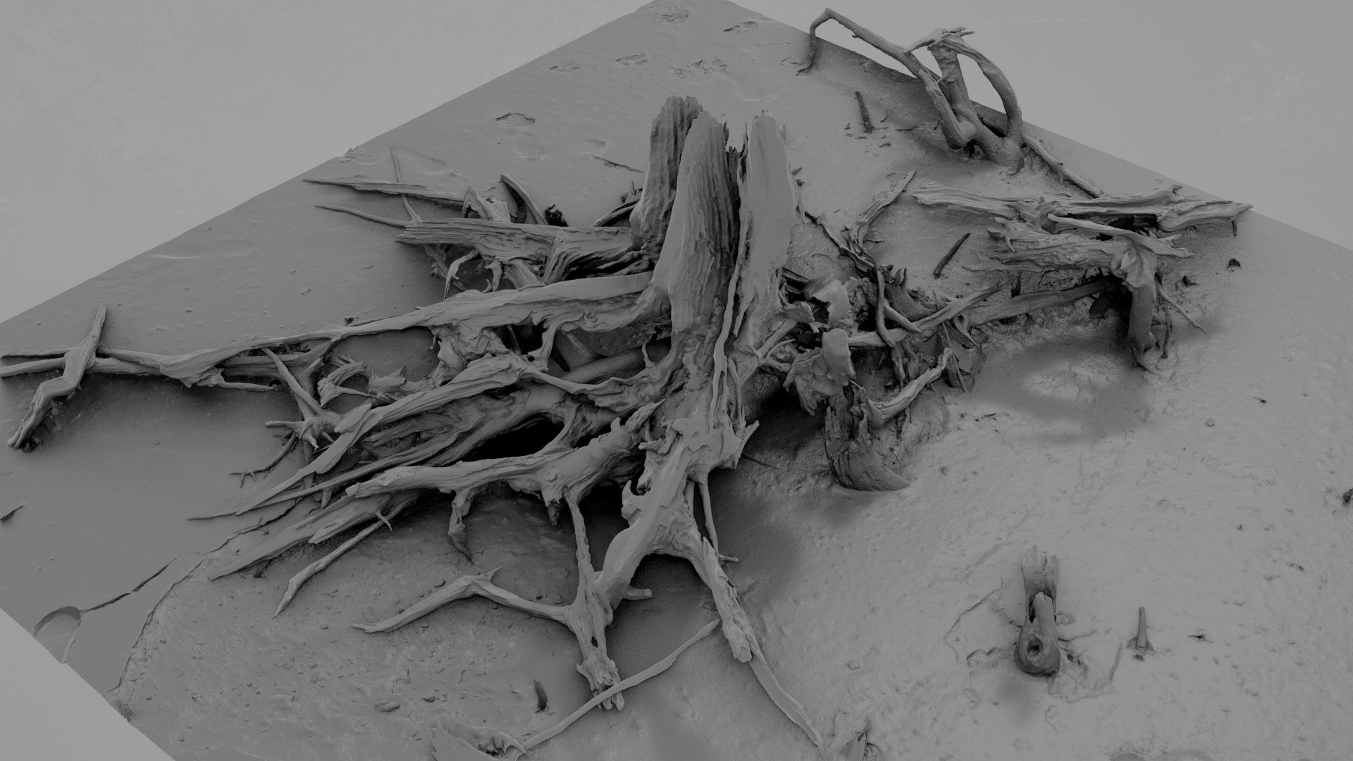 Dead Tree 004 3D - TurboSquid 2324903