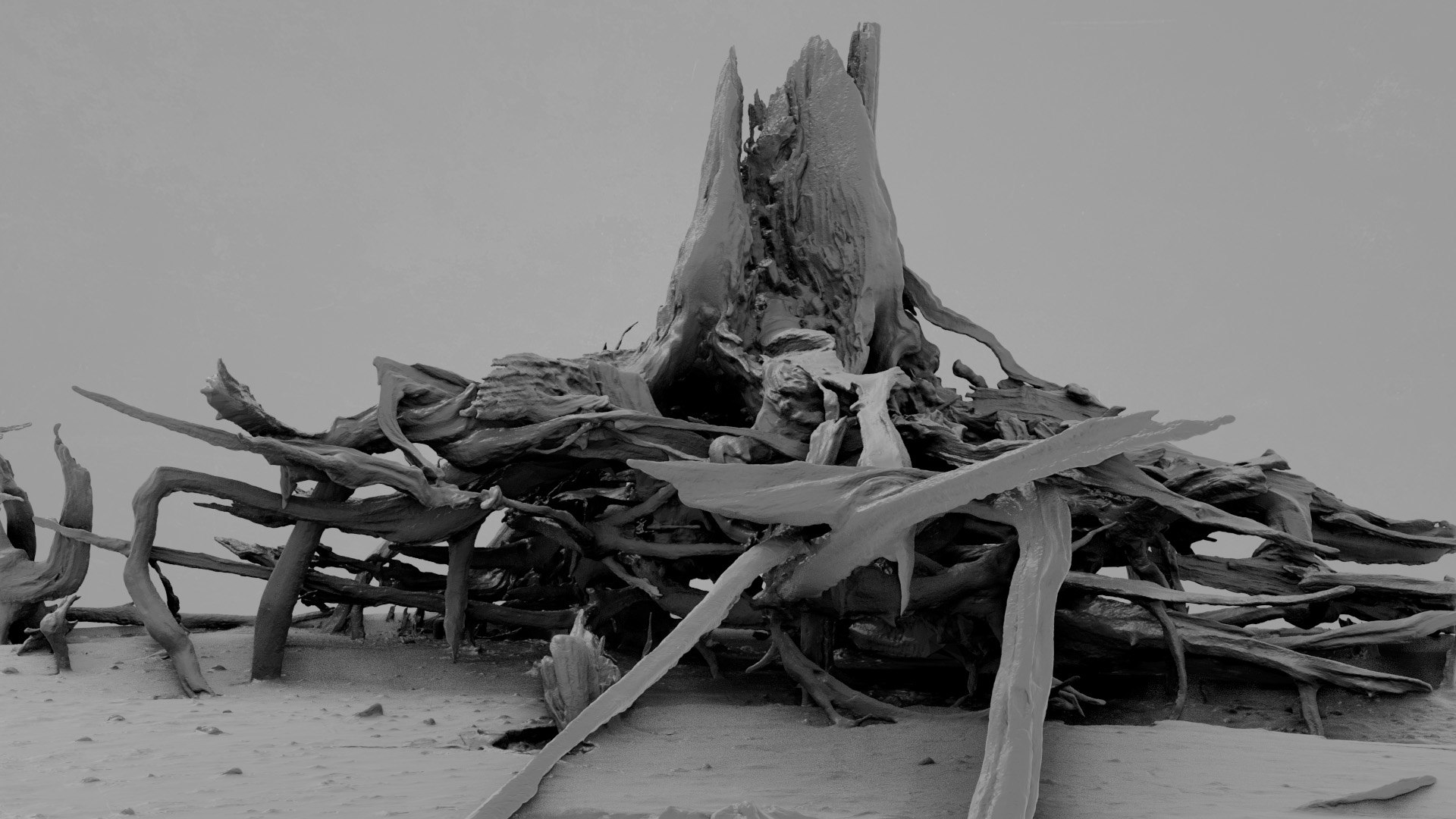 Dead Tree 004 3D - TurboSquid 2324903