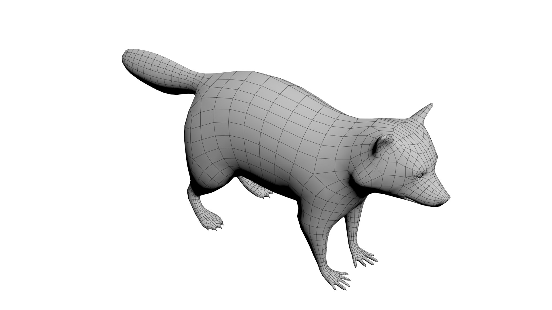 Raccoon Model - TurboSquid 1782563
