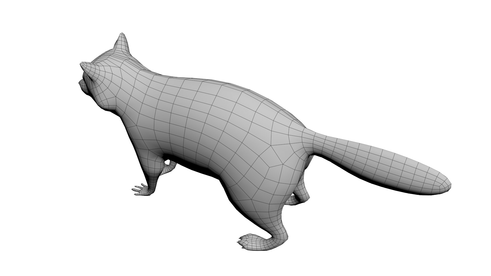 Raccoon Model - TurboSquid 1782563