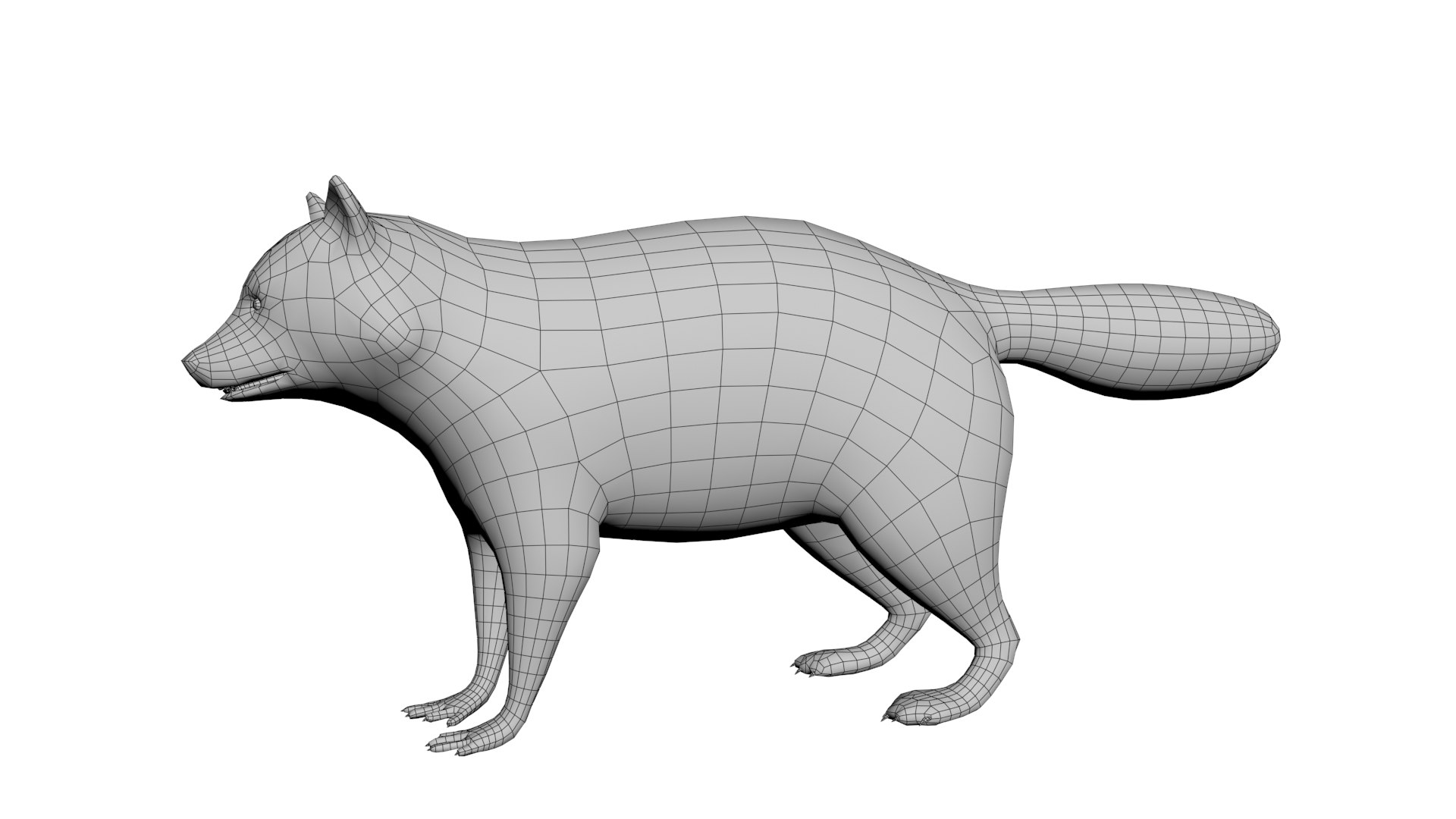 Raccoon Model - TurboSquid 1782563