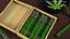 Box of Leira Long Cannabis Cigars Open