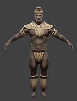 Afican Warrior Shaka Zulu