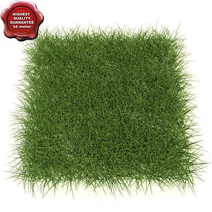 grass outdoor modelled 3d model