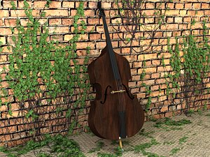 3d double bass