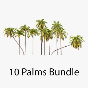3D Palms with LODs Bundle