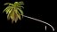 3D Palms with LODs Bundle