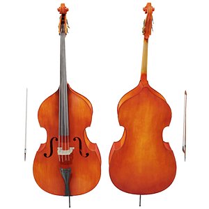 3D Double Bass