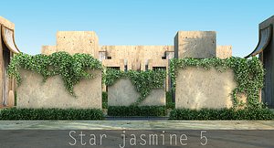 star jasmine 3d model