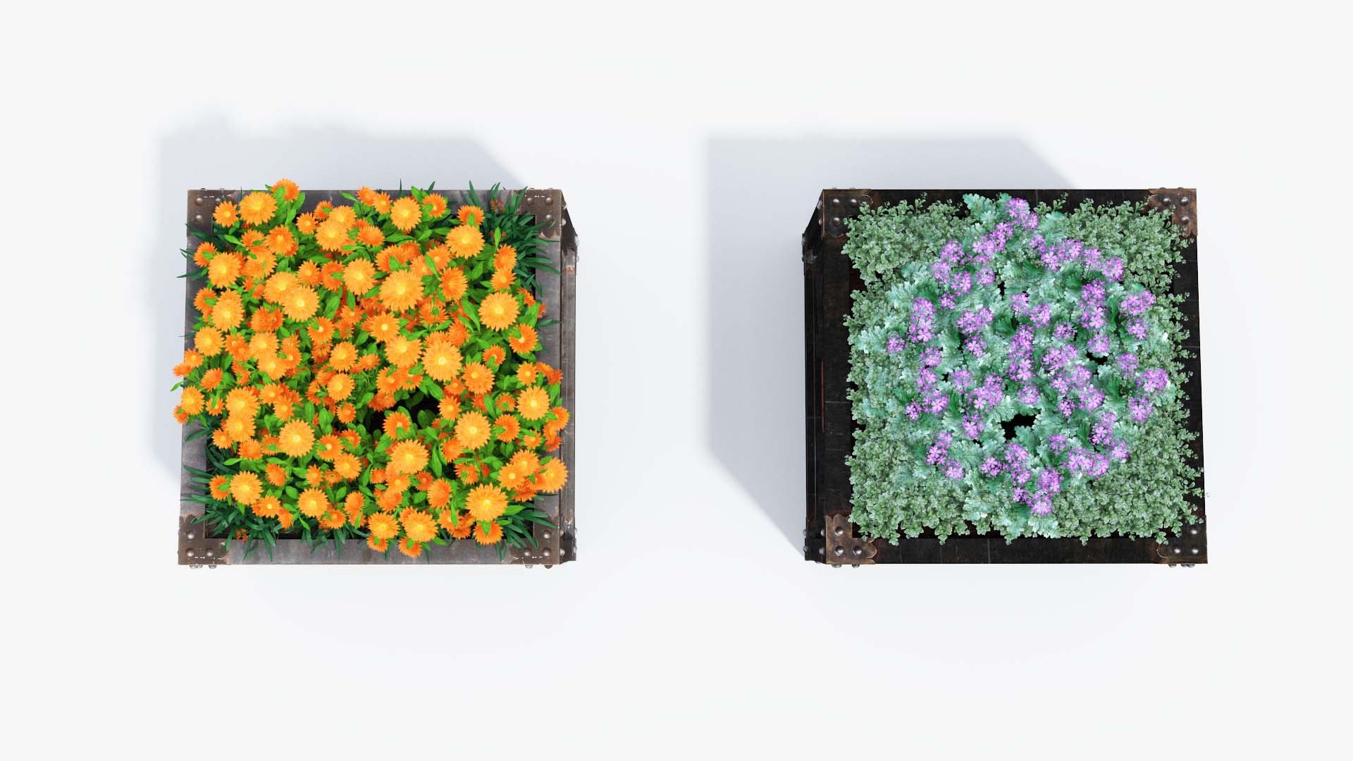 3D flowerbed https://p.turbosquid.com/ts-thumb/B3/n4isPh/Is/27parterretop/jpg/1663330650/1920x1080/fit_q87/579fa7b1b5ac4aa12daa47ee510f94524ebf17dd/27parterretop.jpg