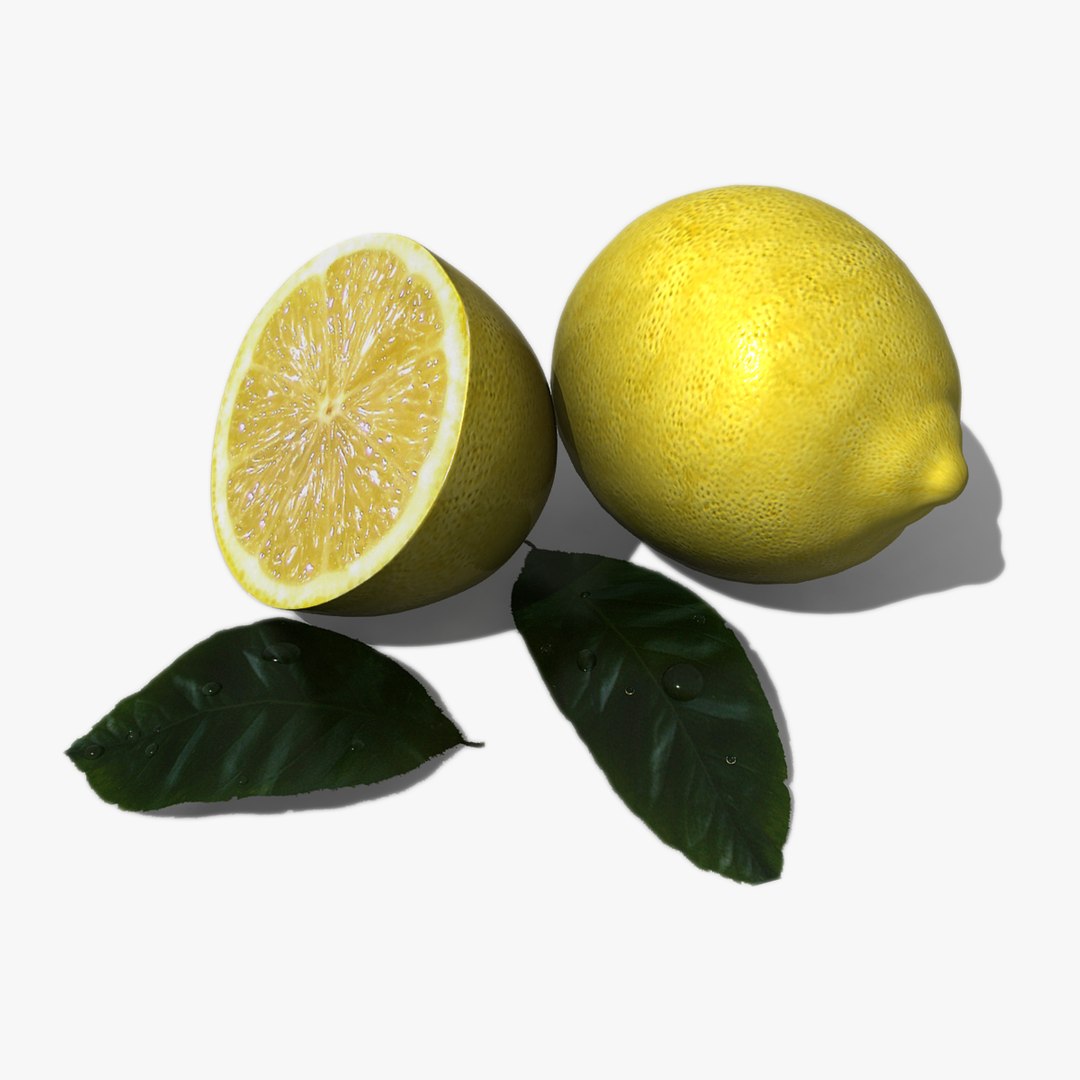 3ds Max Lemon Citrus Limonum