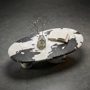 3D Modern Coffee Table model