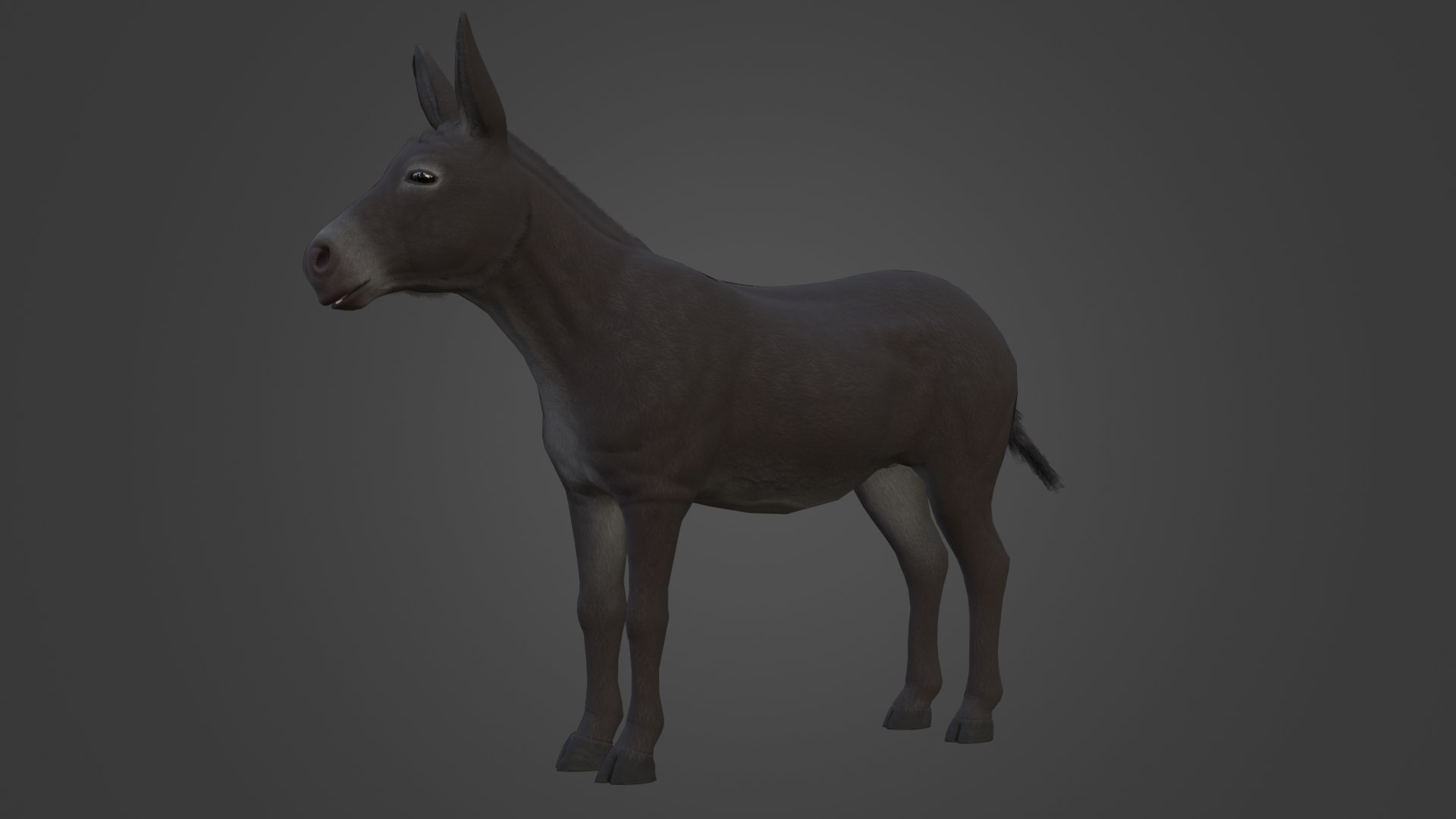 Horse and Donkey 3D model https://p.turbosquid.com/ts-thumb/B4/3jhnbT/2Z/8/png/1760208050/1920x1080/fit_q87/75c50dd13652d366e41e6eae2861f4de26261d12/8.jpg