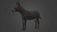 Horse and Donkey 3D model