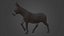 Horse and Donkey 3D model