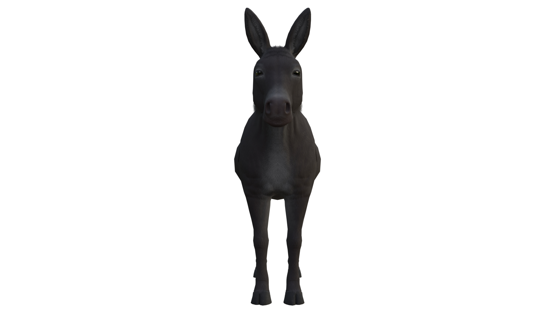 Horse and Donkey 3D model https://p.turbosquid.com/ts-thumb/B4/3jhnbT/DV/image/png/1760208225/1920x1080/turn_fit_q99/f36d56e35febdf1abf92d73124613ccc81cd0630/image-1.jpg