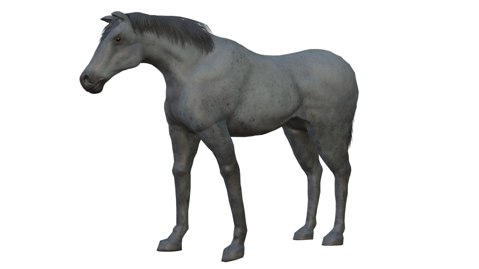Horse and Donkey 3D model https://p.turbosquid.com/ts-thumb/B4/3jhnbT/Fe/4/png/1760208047/1920x1080/fit_q87/e3b0a9922a7094bdde19beb2f27d3c5bd540b33d/4.jpg
