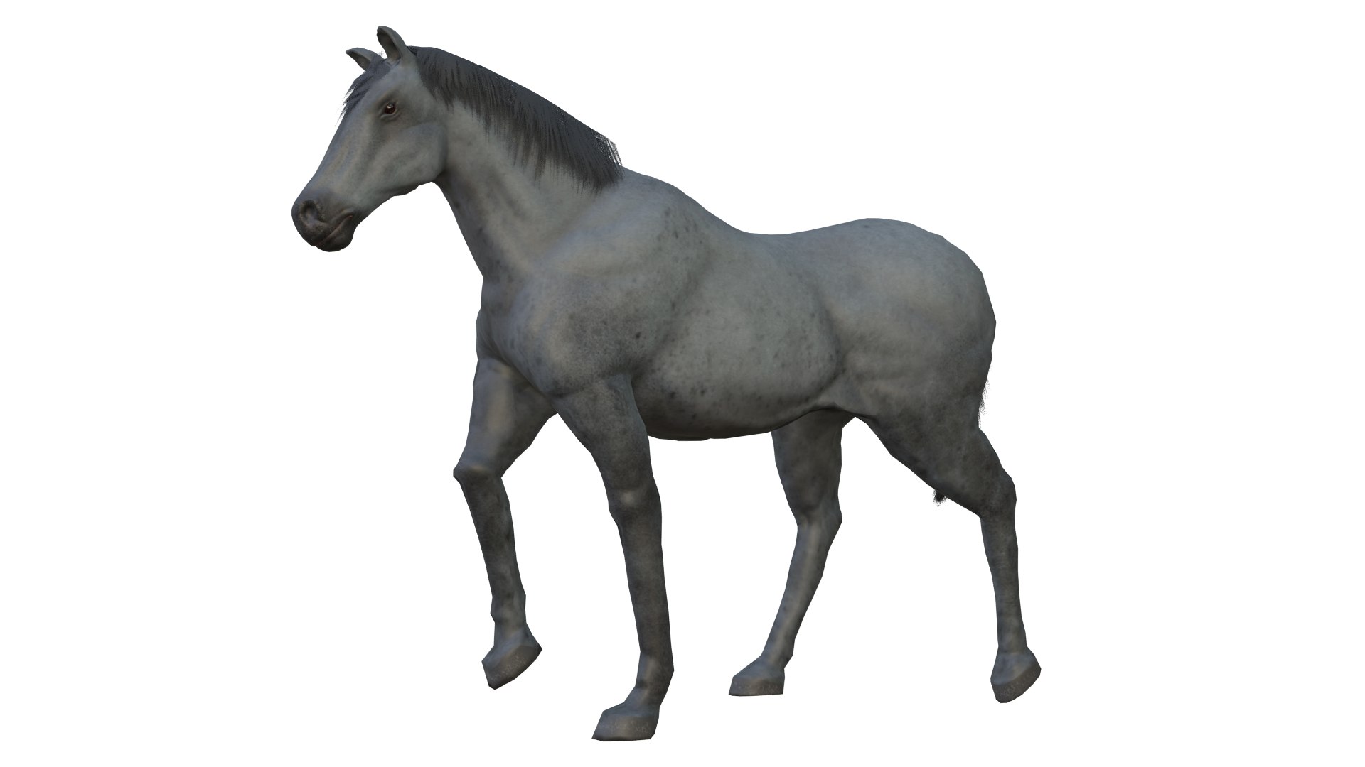 Horse and Donkey 3D model https://p.turbosquid.com/ts-thumb/B4/3jhnbT/Gk/5/png/1760208046/1920x1080/fit_q87/44fadabaa08a83c3dba9dd48b3725ad2ba1497b1/5.jpg