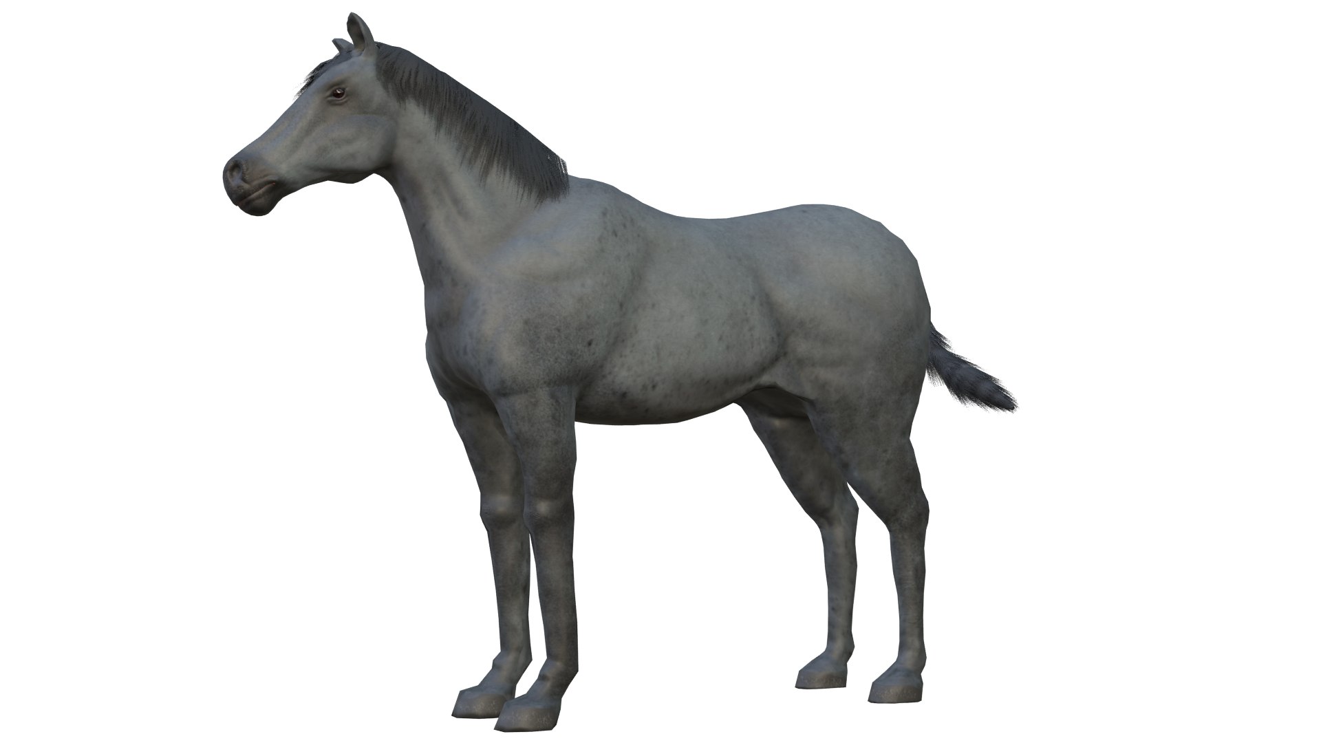 Horse and Donkey 3D model https://p.turbosquid.com/ts-thumb/B4/3jhnbT/Iv/2/png/1760208043/1920x1080/fit_q87/3855cec638f50e1c371e82d7ea60f1cc9d1a0980/2.jpg