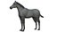 Horse and Donkey 3D model