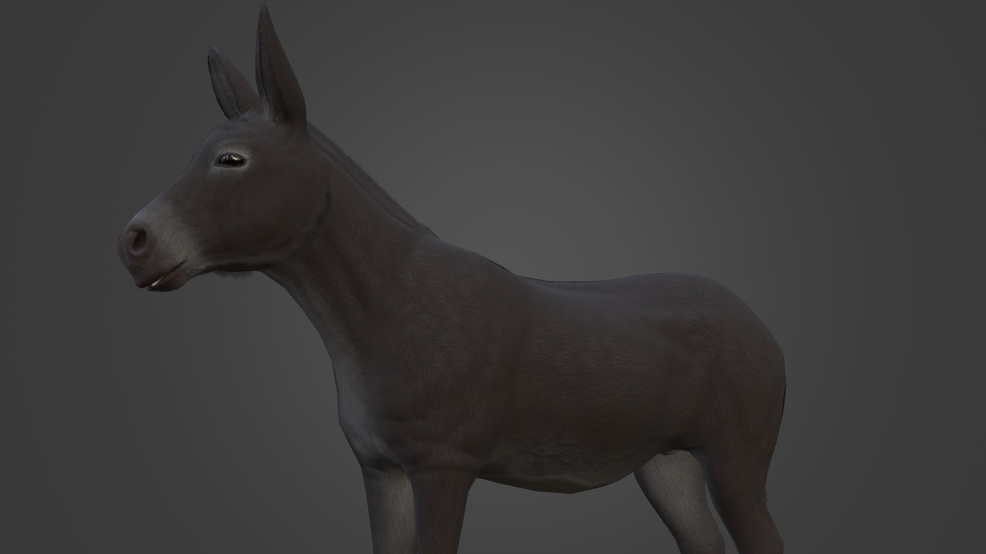 Horse and Donkey 3D model https://p.turbosquid.com/ts-thumb/B4/3jhnbT/LE/13/png/1760208070/1920x1080/fit_q87/76f523446054e6fb1476b65913aa6404e5ad5819/13.jpg