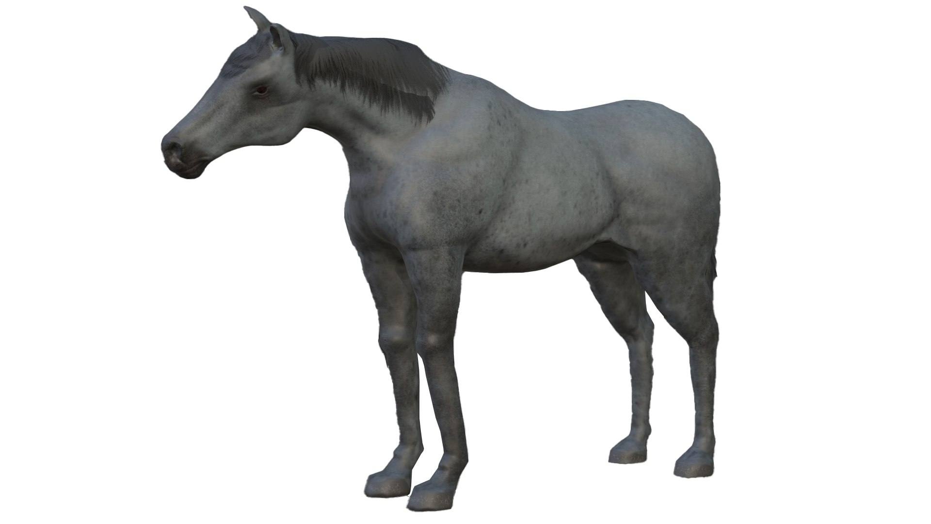 Horse and Donkey 3D model https://p.turbosquid.com/ts-thumb/B4/3jhnbT/aE/6/png/1760208049/1920x1080/fit_q87/2f3d5bdac0ffc4c21beea1818d25725c013811ff/6.jpg