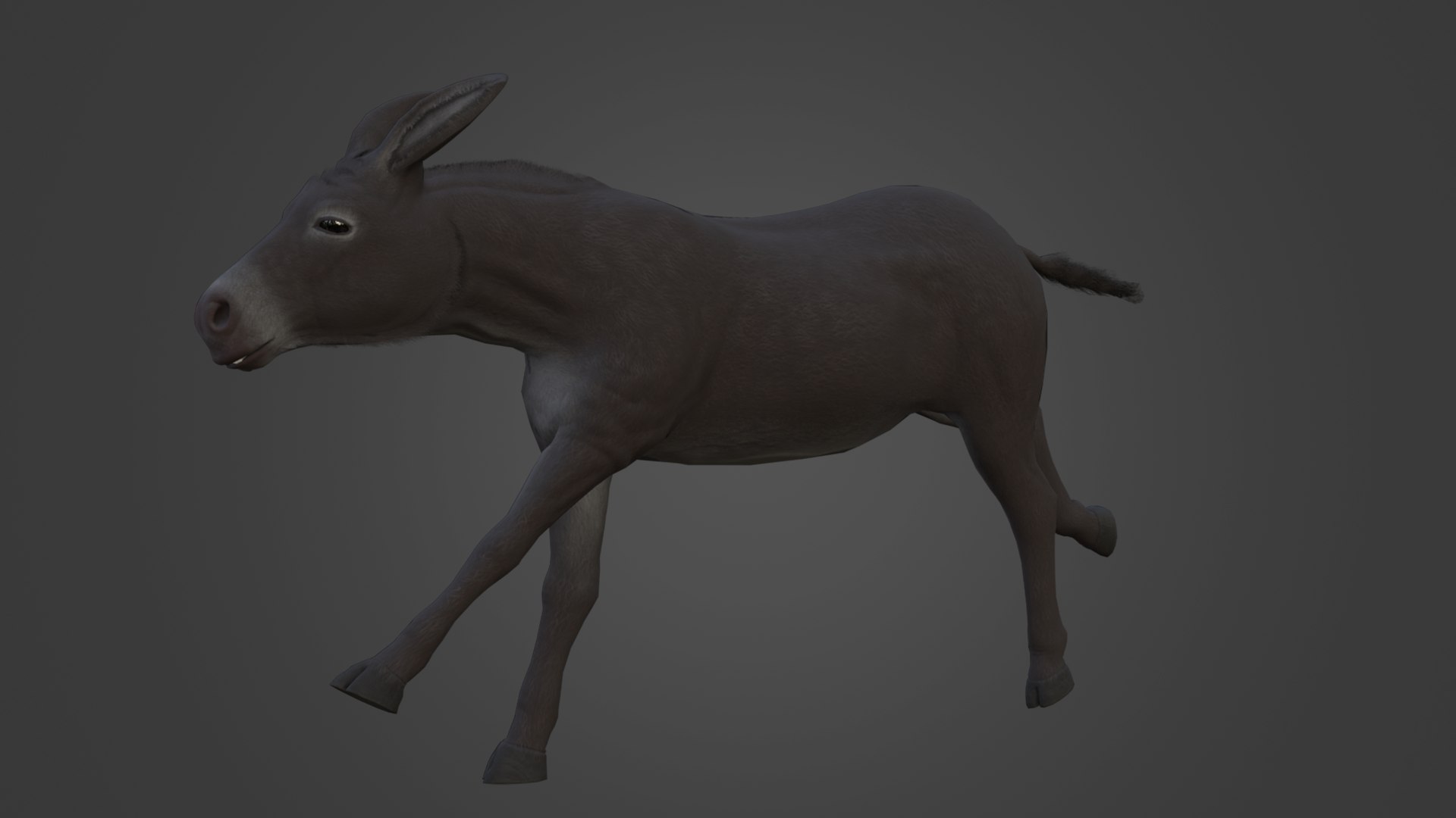 Horse and Donkey 3D model https://p.turbosquid.com/ts-thumb/B4/3jhnbT/wS/10/png/1760208057/1920x1080/fit_q87/da35a5443a97e5b00328f49a5fc88633d554e44f/10.jpg