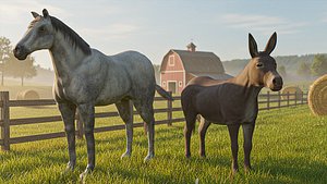 Horse and Donkey 3D model