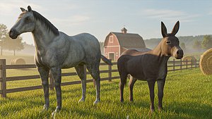 Horse and Donkey