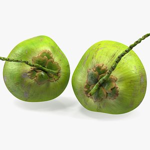 fresh green coconuts 3D model
