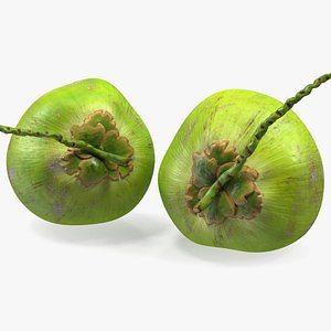 Two Fresh Green Coconuts
