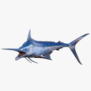 Blue Marlin Rigged