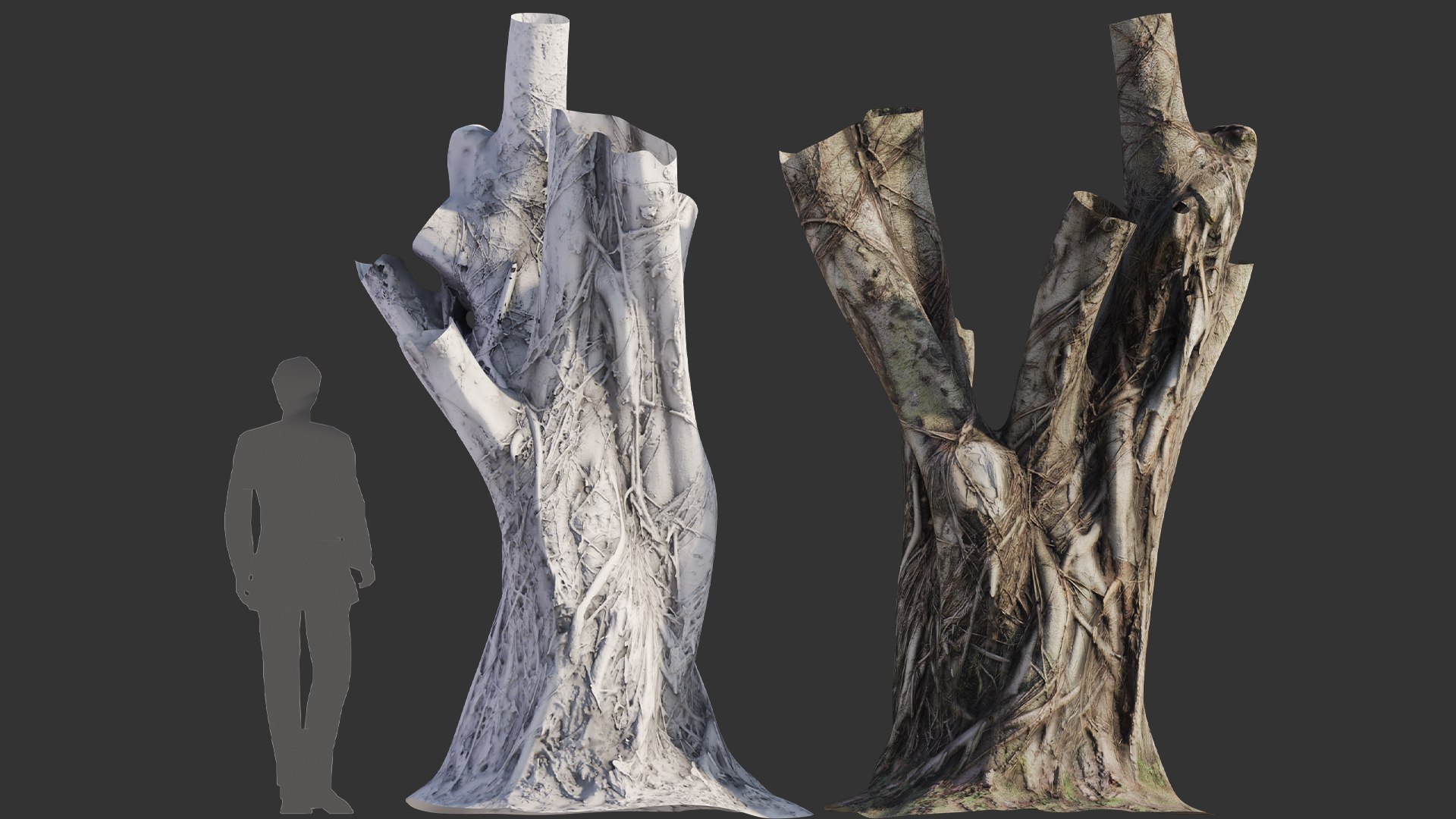 3D Ficus Tree Trunk 06 - TurboSquid 2105956