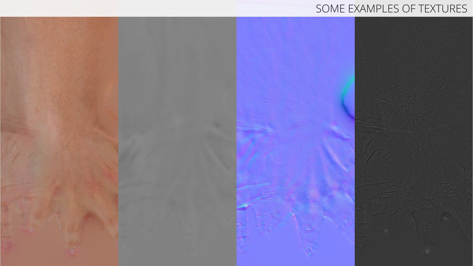 3D Male Arm Italian Gesture Animated Rigged for Maya https://p.turbosquid.com/ts-thumb/B4/nwcdh1/Dz/male_arm_italian_gesture_animated_rigged_for_maya_012/jpg/1770254815/1920x1080/fit_q87/e4bbbafb822f84d98a83b00eb98764dbf9d99530/male_arm_italian_gesture_animated_rigged_for_maya_012.jpg