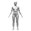 Modelo realista casual femenino CAD con detalles genitales F1P1D2V1