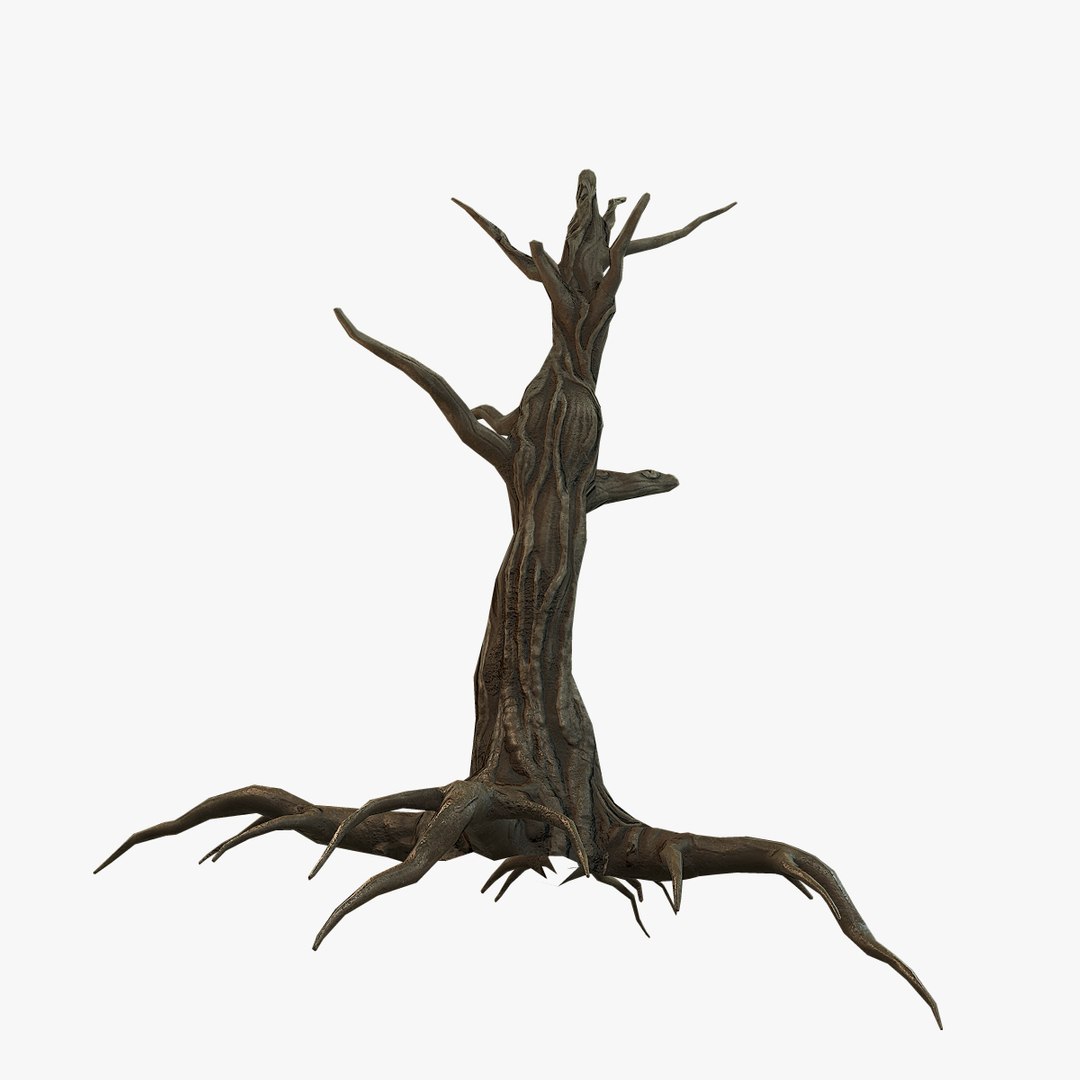 swamp dead tree 3D model https://p.turbosquid.com/ts-thumb/B5/2r3Qh1/fIrYWe1x/dead_tree_012/jpg/1521926118/1920x1080/fit_q87/fac014b19484e482030cb39f30fecf4cc544c2bf/dead_tree_012.jpg