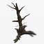 Swamp Dead Tree PBR
