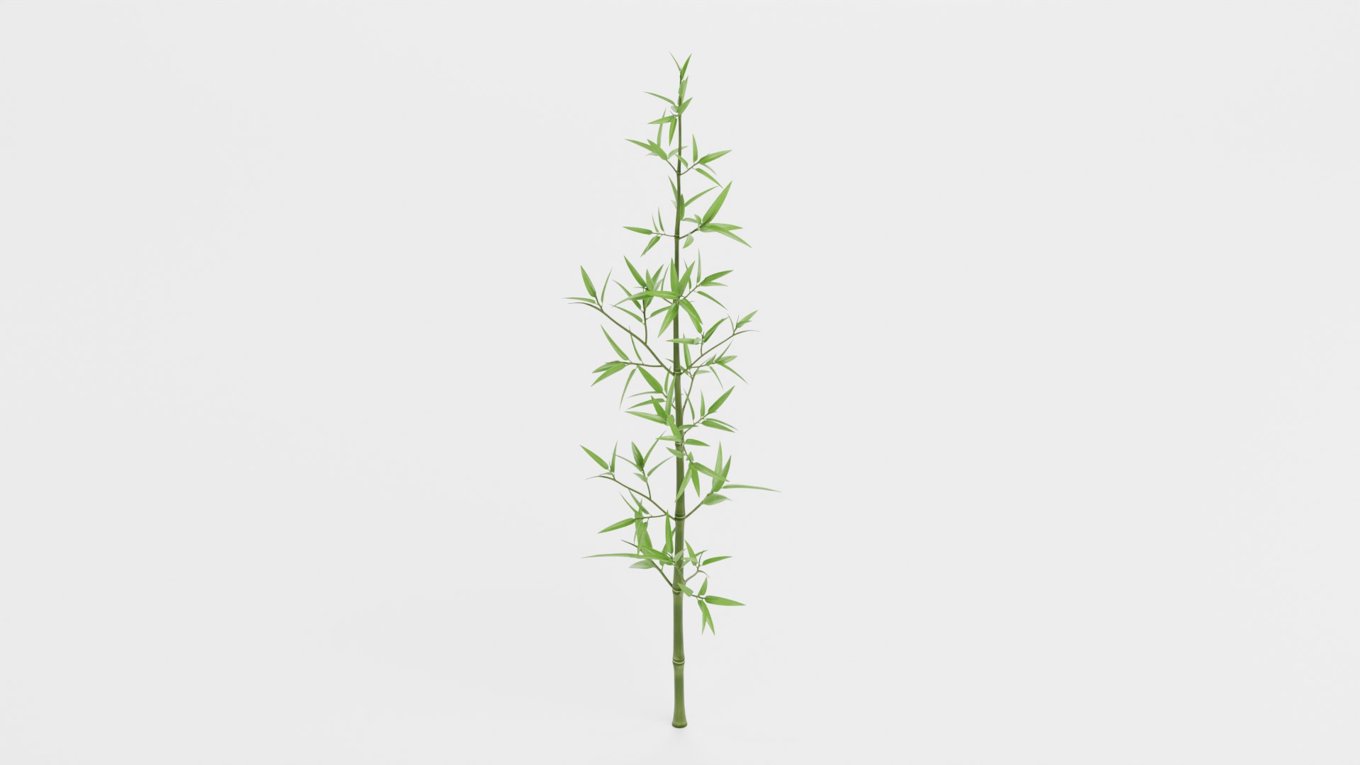 Bamboo model https://p.turbosquid.com/ts-thumb/B5/3K0aYh/8l/bambood/png/1715185085/1920x1080/fit_q87/771a1cb47dec6388dc7c270c95c7fb4e8092c7f6/bambood.jpg