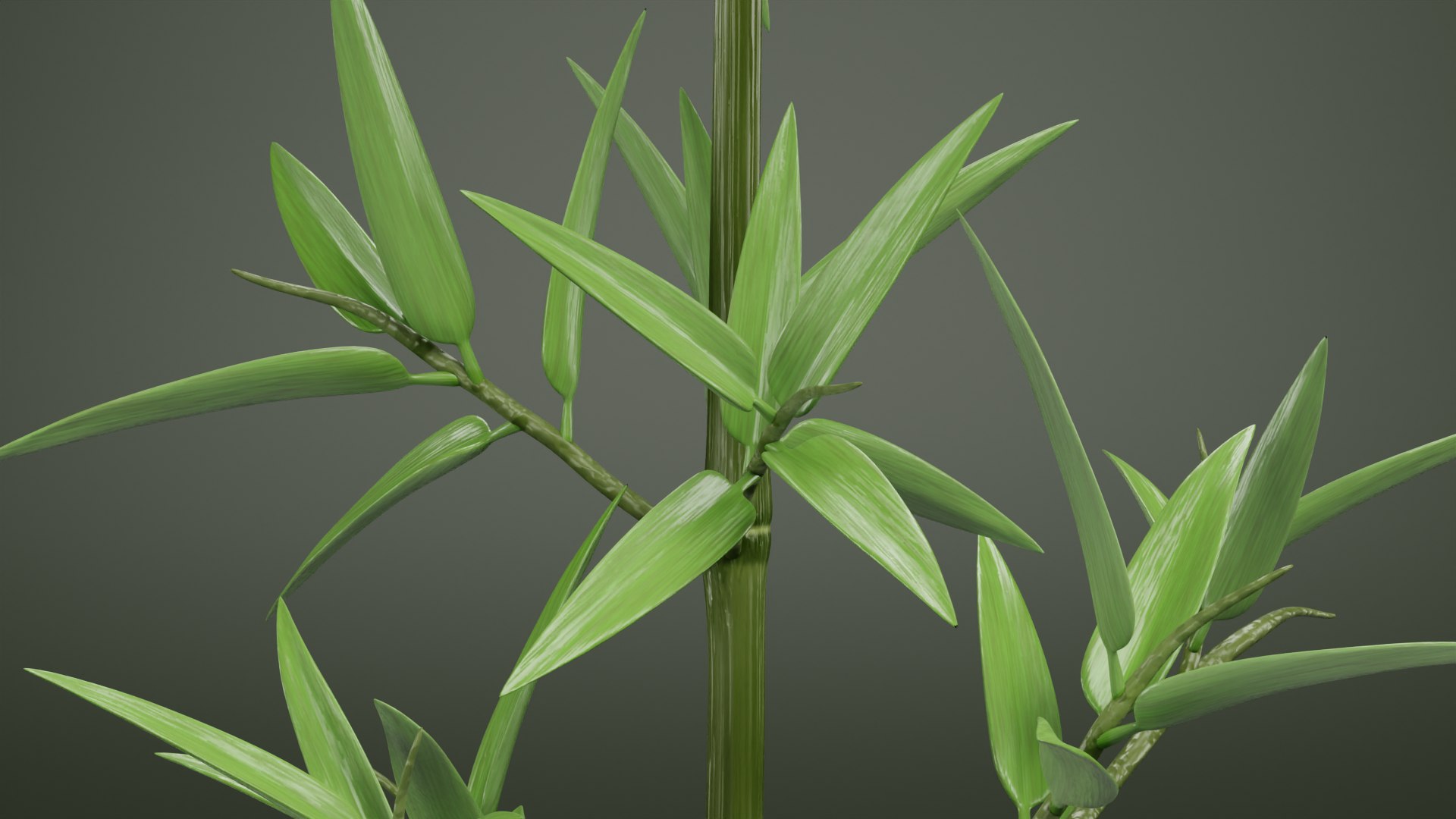 Bamboo model https://p.turbosquid.com/ts-thumb/B5/3K0aYh/TW/bambooi/png/1715185088/1920x1080/fit_q87/ae540108028ea38e0e332dafcb29b53199b321b5/bambooi.jpg