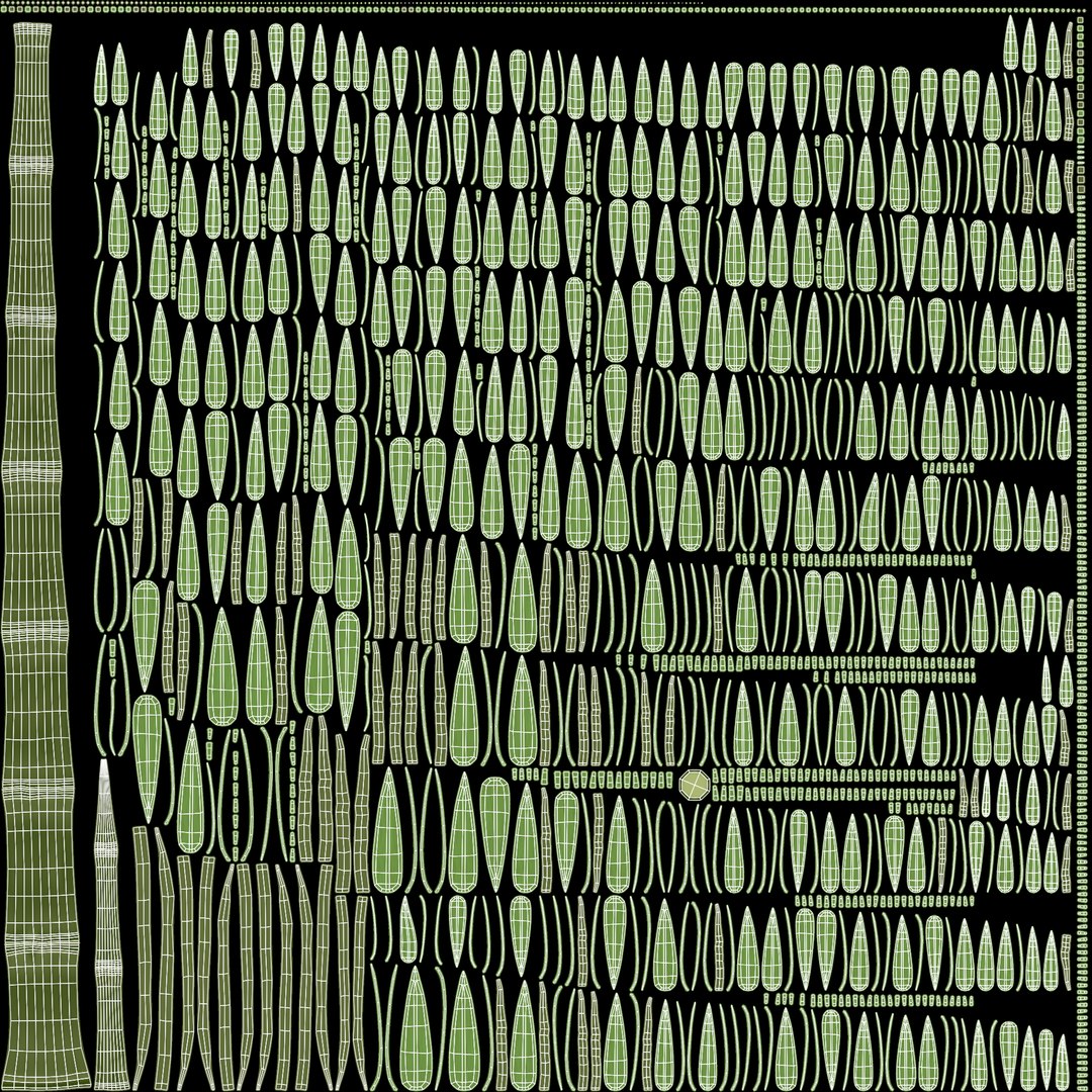 Bamboo model https://p.turbosquid.com/ts-thumb/B5/3K0aYh/jX/bamboouv/png/1715185093/1920x1080/fit_q87/a9b7a5b942f663210880e752ea111db2b7b1d932/bamboouv.jpg