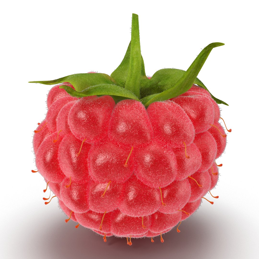 Raspberry with Fur 3D Model 3D model preview