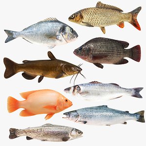 Farmed Fish 8 in 1 3D model