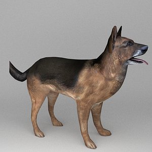 dog canine 3d max