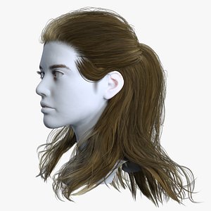 3D Casual Realistic Long Layered Half Ponytail - Game Ready Hair Cards