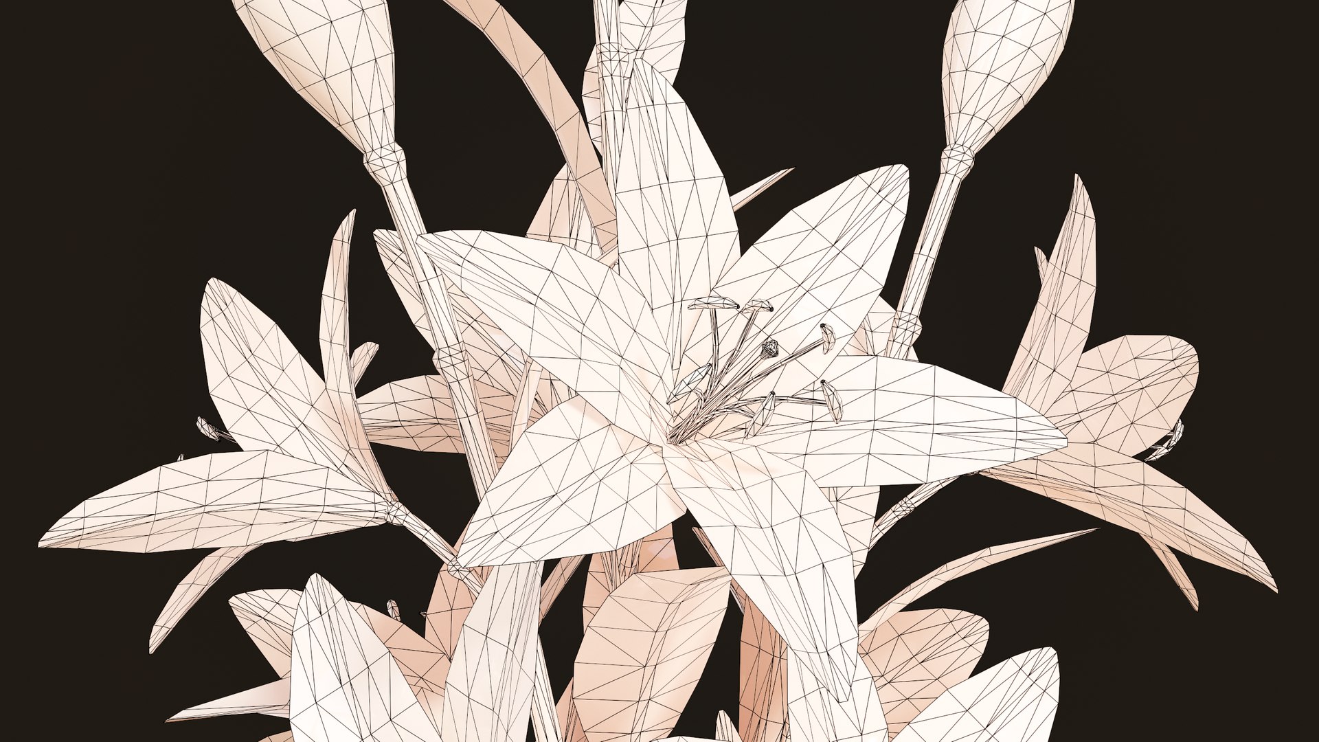 House Plants and Flowers Bundle model https://p.turbosquid.com/ts-thumb/B5/KceNiy/As/27/png/1764609016/1920x1080/fit_q87/ba09be2c21d359c5f34eb44d109754435f854873/27.jpg