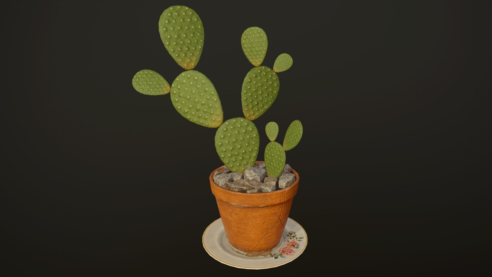 House Plants and Flowers Bundle model https://p.turbosquid.com/ts-thumb/B5/KceNiy/GO/38/png/1764610256/1920x1080/fit_q87/3593a256a9fa86613276e19789e0e211dd939d8e/38.jpg