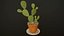Zimmerpflanzen- und Blumen-Bundle