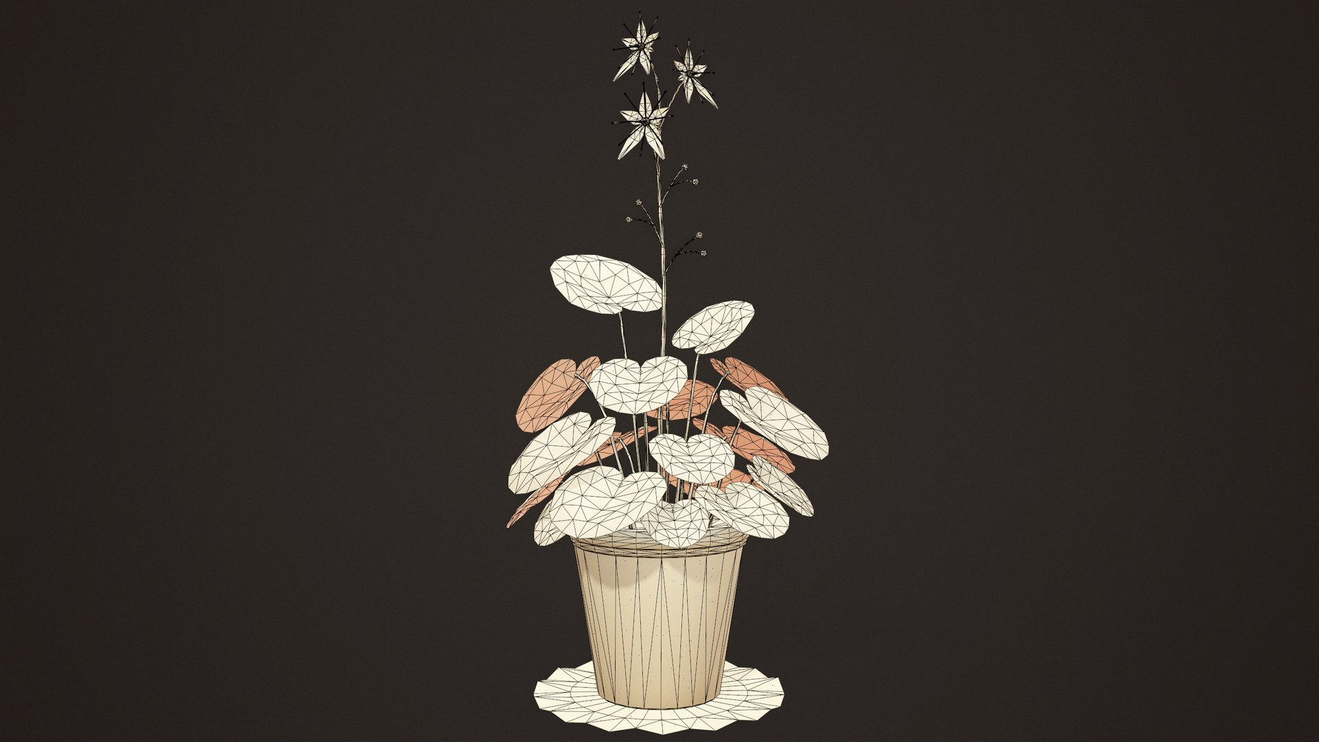 House Plants and Flowers Bundle model https://p.turbosquid.com/ts-thumb/B5/KceNiy/NW/50/jpg/1764610609/1920x1080/fit_q87/43ef0a4e361f9dccca6ede3b436ac221c4db87d2/50.jpg